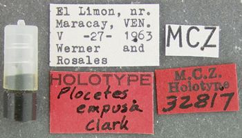 Media type: image;   Entomology 32817 Aspect: labels
